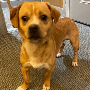 WET NOSE WEDNESDAY - 6/26/2024