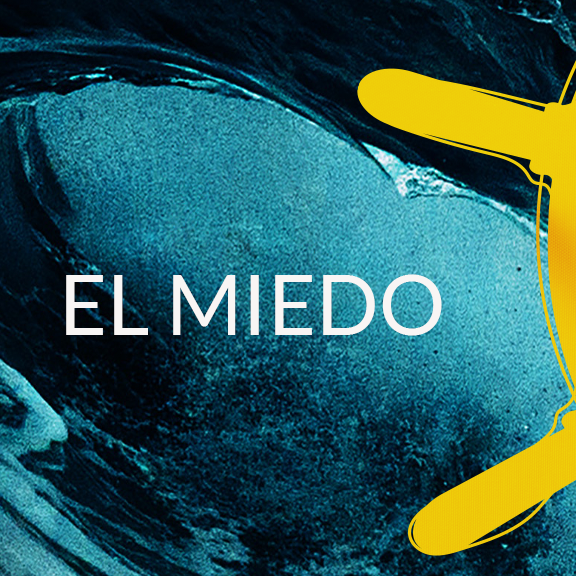 NAVEGANTES DE LA CONCIENCIA