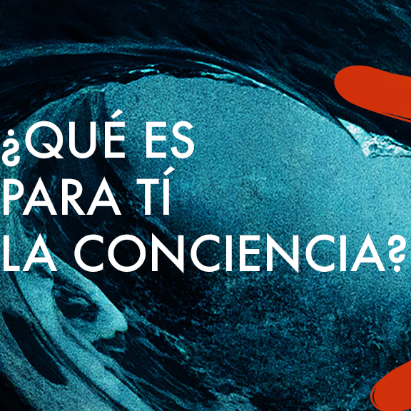 NAVEGANTES DE LA CONCIENCIA