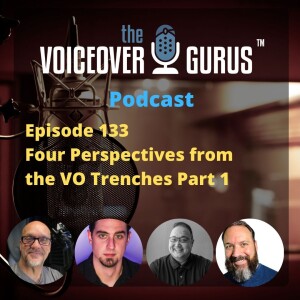Ep 133 - Four Perspectives from the VO Trenches Part 1