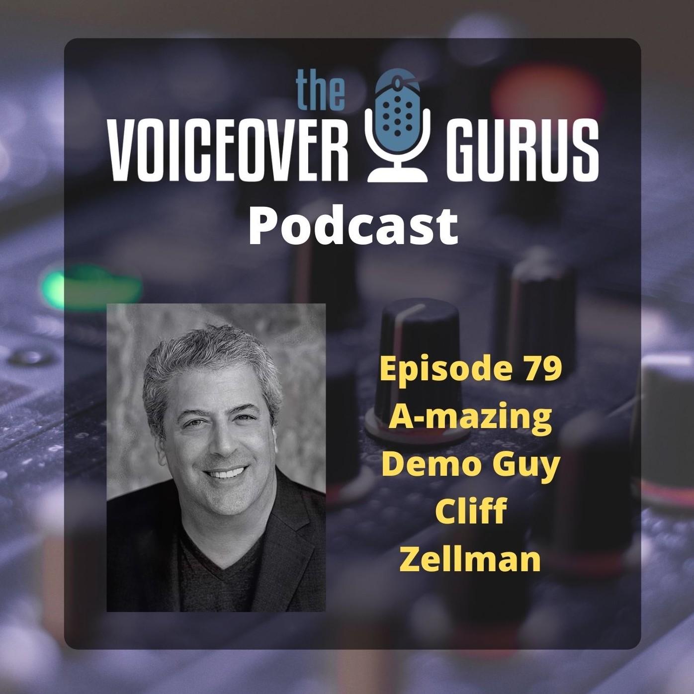 The Voiceover Gurus Podcast