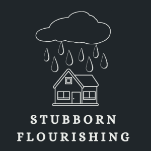 Is Jesus Crazy? | Stubborn Flourishing