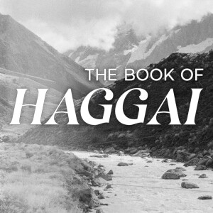 Haggai 1:1-15: "When Greed is in the Drivers Seat"