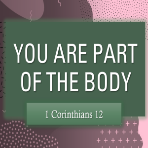 Sunday, May 11th: You Are Part Of The Body