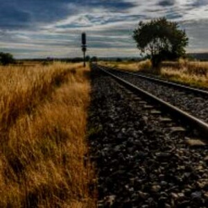 The Lone Star Stranger 
