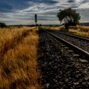 The Lone Star Stranger