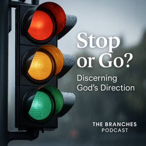 Red Light, Green Light: Hearing God’s Direction Through Peace