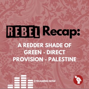 REBEL Recap: A Redder Shade of Green - Direct Provision - Palestine