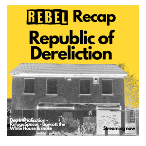 Rebel Recap: Derelict Republic - Decriminalisation - Boycotting the White House