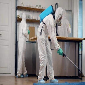 Why You Shouldn’t Ignore Pest Control Services for Your Commercial Property?