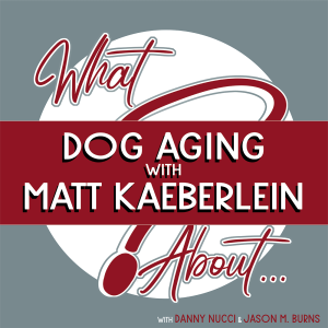 What About...Dog Aging w/Matt Kaeberlein
