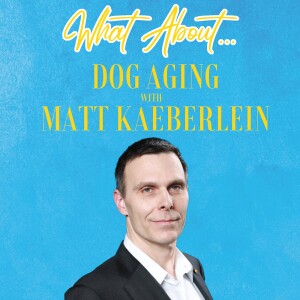 What About...Dog Aging w/Matt Kaeberlein