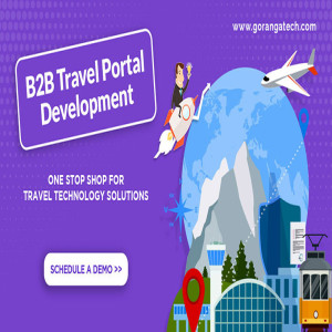 Way Forward for B2B Travel Portal Development