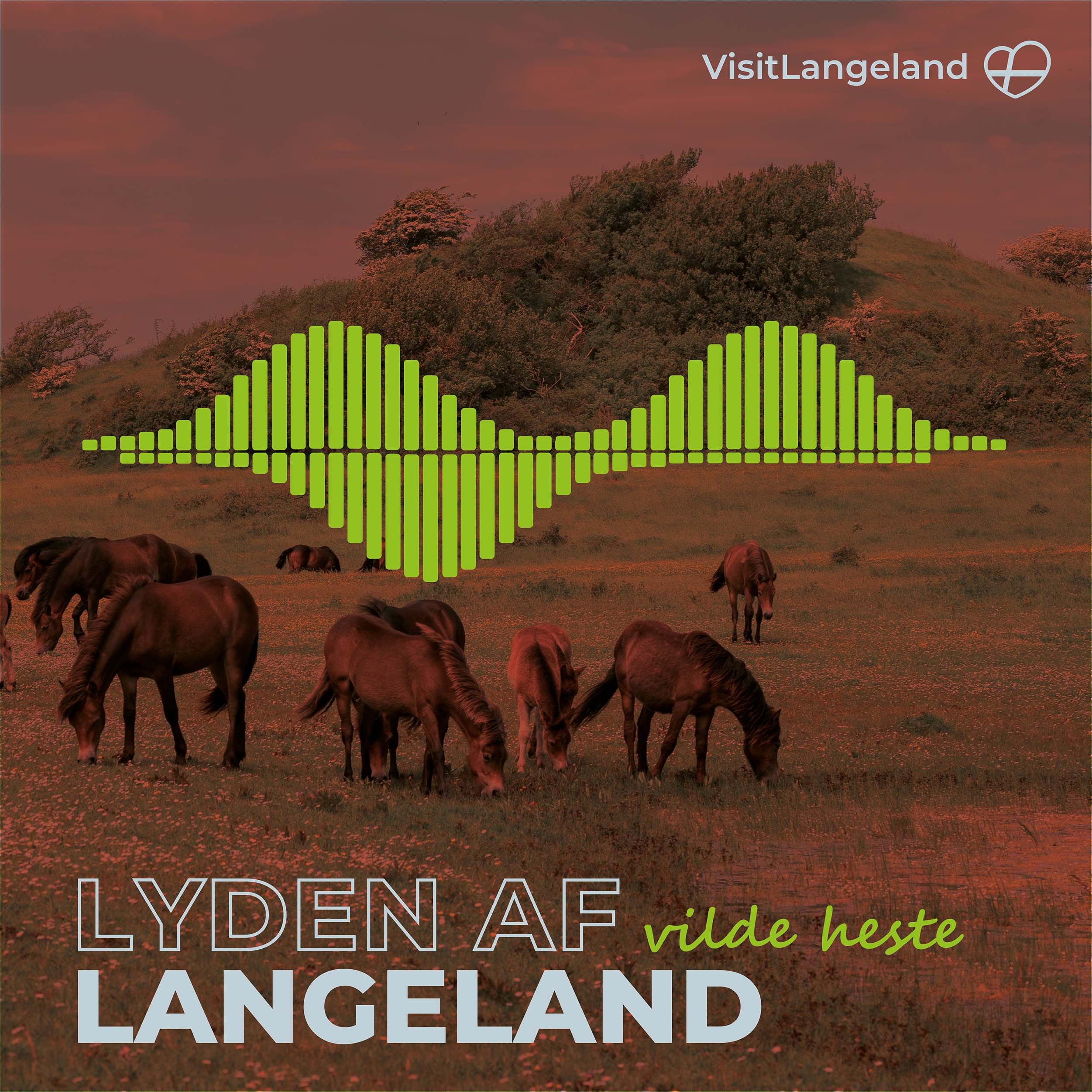 LYDEN AF LANGELAND
