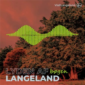 LYDEN AF BØGEN