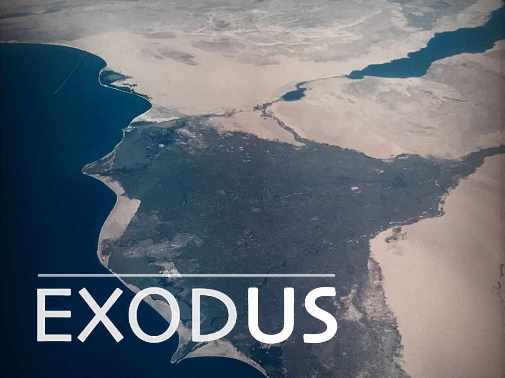 EXODUS: God's Provision