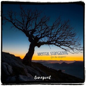 mental stargazing (for the sleepers)