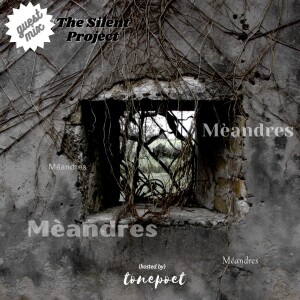 guest mix: the silent project (mèandres)