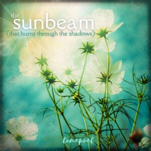 the sunbeam (that burns through the shadows)
