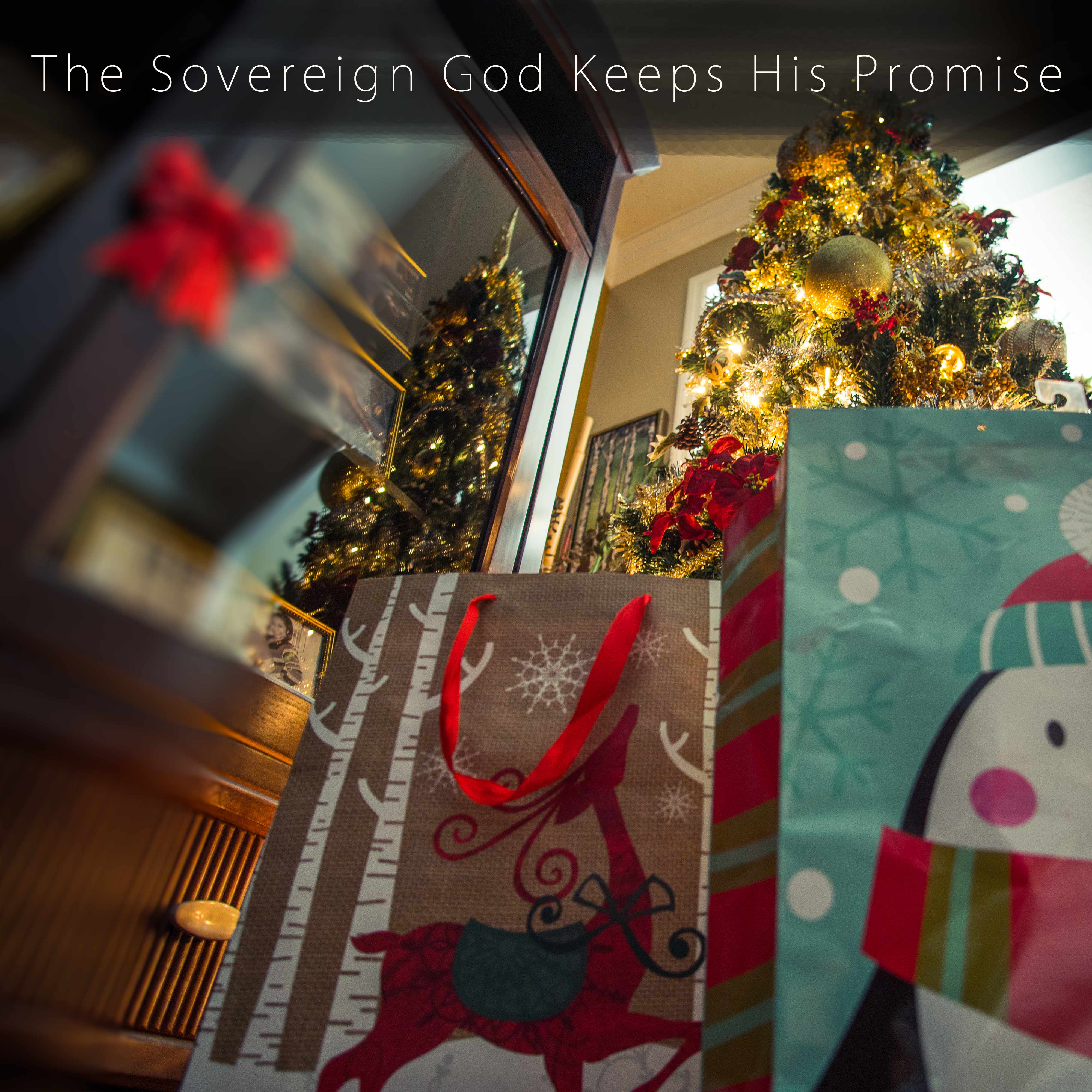 The Sovereign God Keeps His Promise