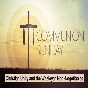 14.  Christian Unity and the Wesleyan Non-Negotiables