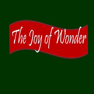 24 - The Joy of Wonder