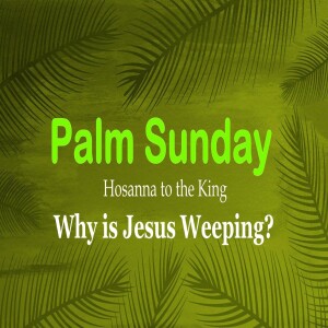 35 - Why is Jesus Weeping?