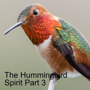 The Spirit of the Hummingbird Explained Part 3