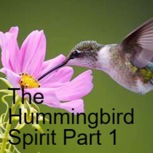 The Spirit of the Hummingbird Explained Part 1