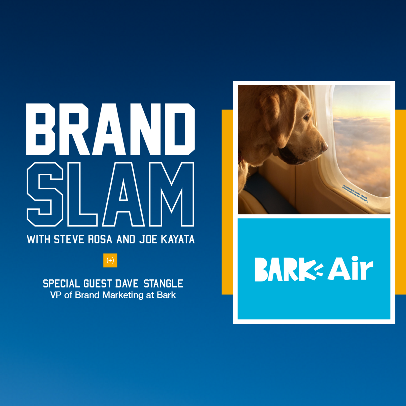 Episode 18: Bark Air takes flight: Inside the luxury pet market