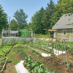 Dave the Gardener's Smorgasbord and Anarchist Hangout #1 6/29/25