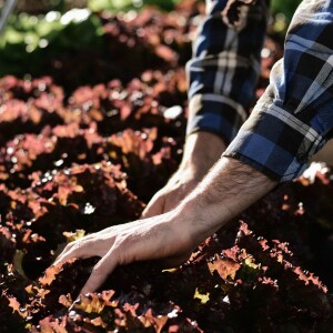 Discussion with Steven Cornett of Nature's Always Right: Self Fortification, Health and Homestead.