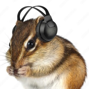 Sleep (or Relax) Chipmunk