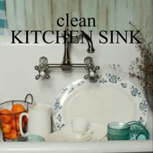 clean Kitchen Sink