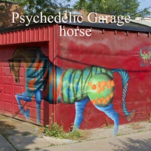 Psychedelic Garage- horse