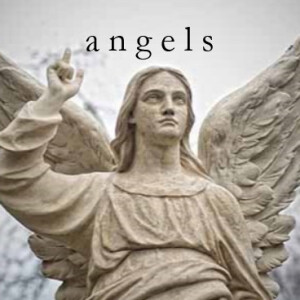 a n g e l s