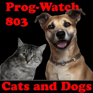 Episode 803 - Cats and Dogs