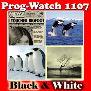 Prog-Watch 1107 - Black and White