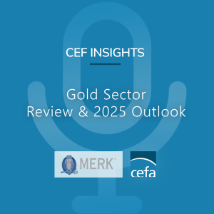 Gold Sector Review & 2025 Outlook