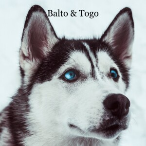 Balto & Togo