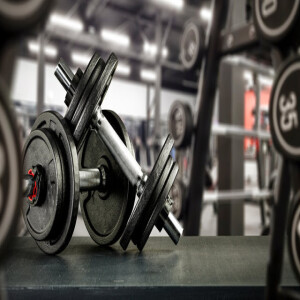 My Gym Workout