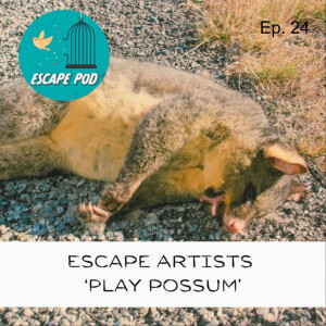 Escape Artists ‘Play Possum’ – Ep. 24