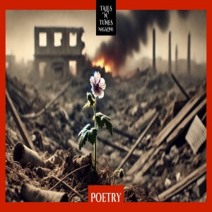 Poetry | The Unseen Flowers of War: Finding Humanity in the Rubble