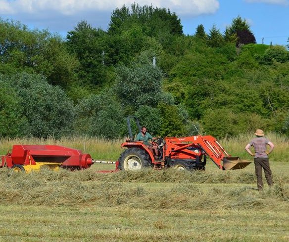 Hay-time