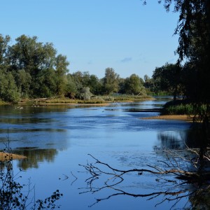 Radio Broadcast with Ranger Jim and Sue Marchant Part 2.