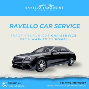 Expert Chauffeur Assistance