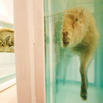 Damien Hirst: I'm STUCK!