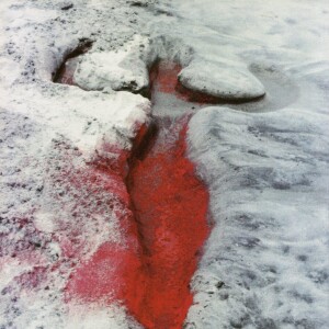 Ana Mendieta Part Two ft. Evelyn Bird: What's All This Shit Doing on the Ground? A MURDER, not a mystery... and also FUCK CARL ANDRE!