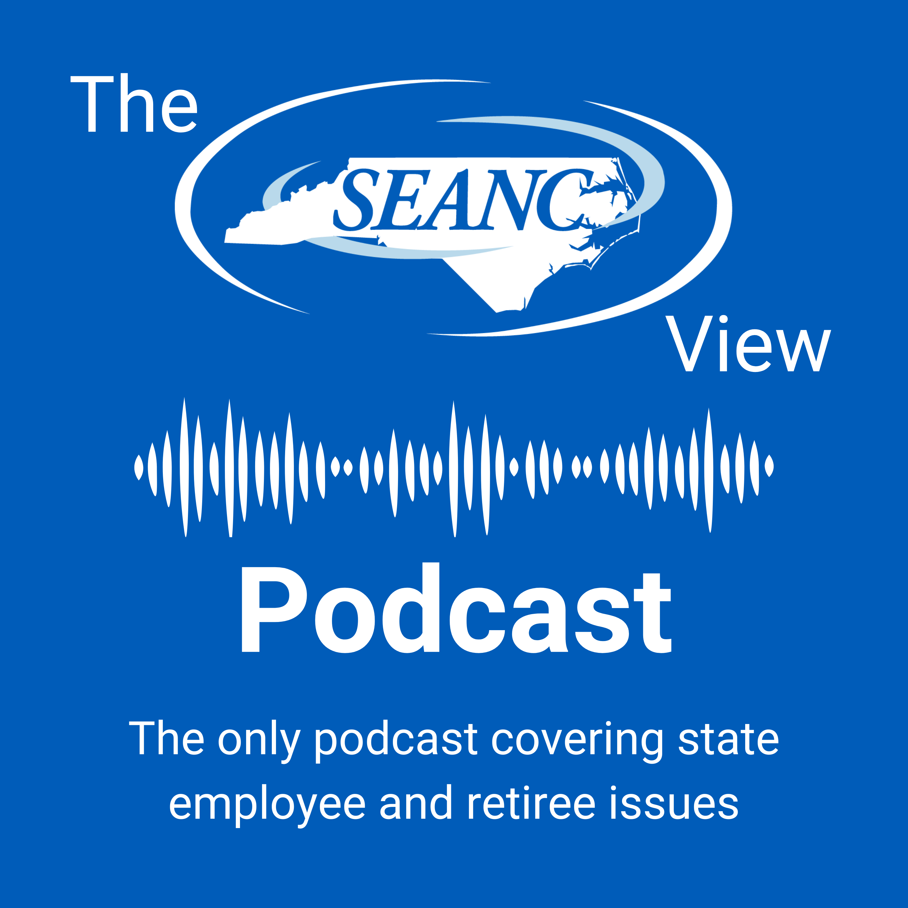 The SEANC View