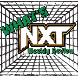 NXT - look at the shiny things! ( AUDIO ONLY ) #NXT #WWE #WRESTLING